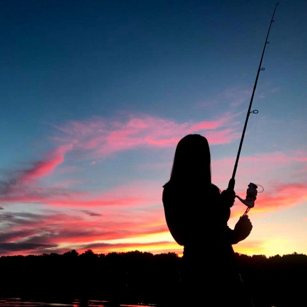 Meet your Posher, Lynzie